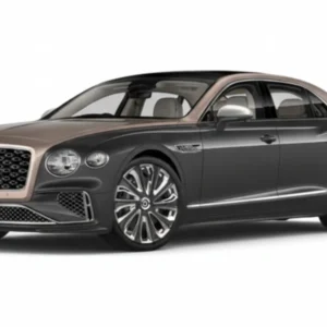 Bentely Flaying SPUR